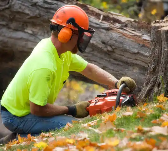 tree services Brandenburg